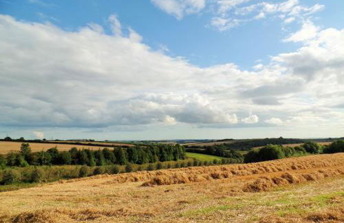 Luccombe Farm Holiday Cottages - Photo 48