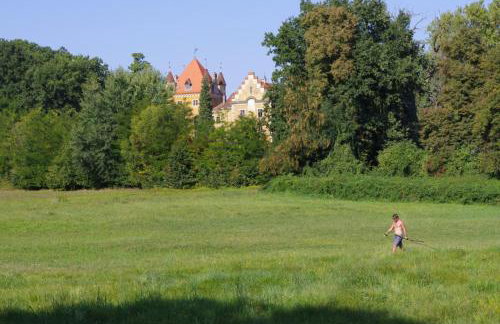 Old Oak House with pool - Foto 21