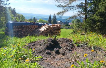 Ferienwohnung Saalfeld - Sommerfrische Burkersdorf - Foto 14