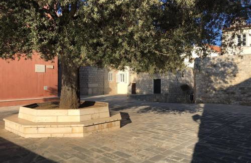 Arbe Downtown - Foto 16