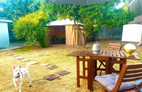 Walk To Americana on Brand. - Foto 16