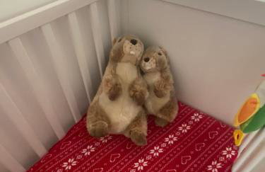 Élégant chalet contemporain - sauna - piscine -10p - Foto 41