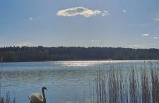 Japoński domek MITAKO - Foto 31