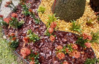 Chácara Alegria - Um pedaço do paraíso em Itaboraí - Foto 29