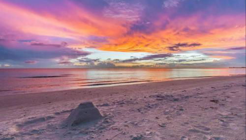 Walk to Downtown - 7min to beach - King bed & Free parking - Foto 3