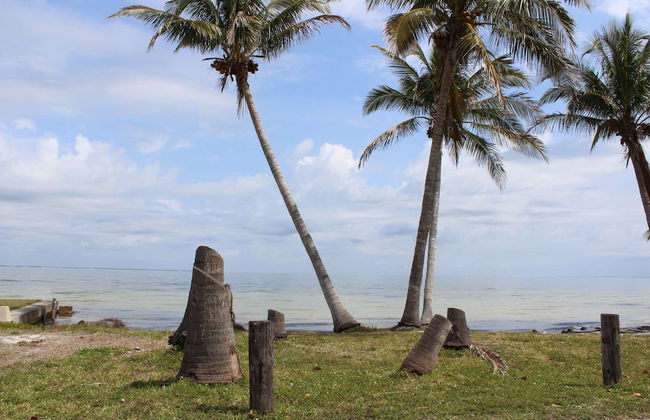 16316 Tortuga - Photo 18