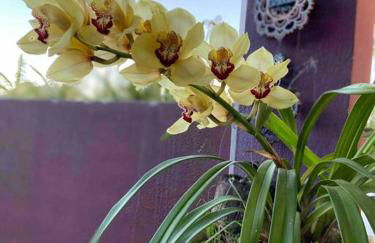 Refúgio Vila da Glória - Photo 26