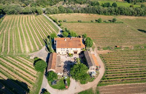 Gîte Mimosa au milieu des vignes - Château les Apiès - Foto 25