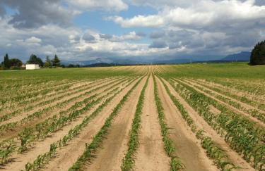 Chez Janie Hirst - Foto 76