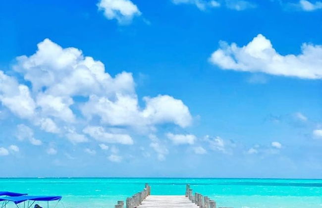 Departament & Pool and Parking Ariany - Foto 15