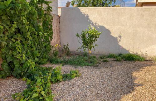 Beni benius - Typical restored house in Nurachi - Foto 64