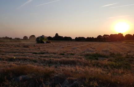 Ferienwohnung Utkiek - Foto 41