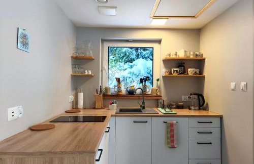 Wetlina 21 - Foto 39