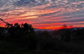 Bayo - terra essentia - Foto 7