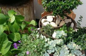 Schwarzplatterhof - Foto 17