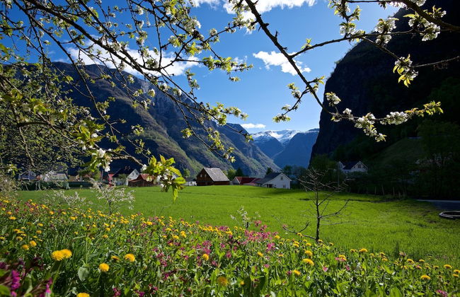 Visit Undredal - Foto 77