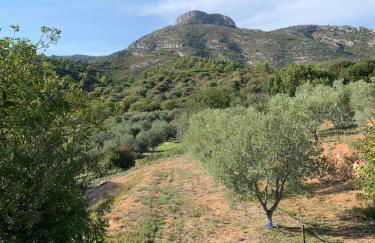 Bas de maison dans une oliveraie avec 2 suites parentales - Foto 41