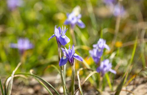Casas Velhas - Casa da Taipa - Foto 17