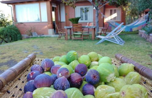 Casuzza Duci duci - Foto 38