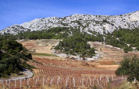 Apartmani Zaninović - Foto 19