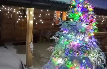 Miodowa Chatka - Foto 62