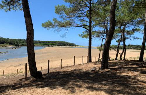Un studio indépendant avec jardin - Foto 12