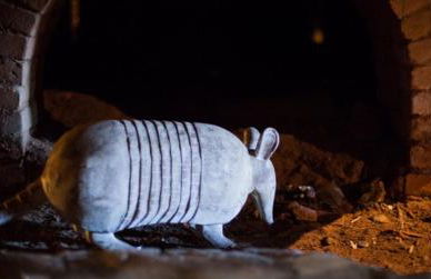 Vila Bueno Residence - Foto 27