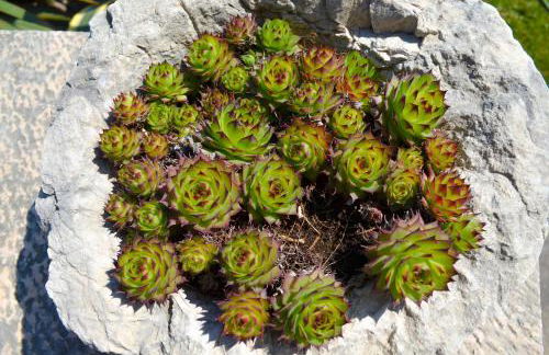 La Madrugada - Foto 52