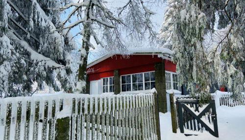 Ferienhaus Baude Steinheid am Rennsteig mit 2 Schlafzimmern max 12 Personen - Foto 4