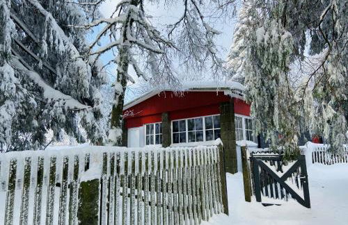 Ferienhaus Baude Steinheid am Rennsteig mit 2 Schlafzimmern max 12 Personen - Foto 4