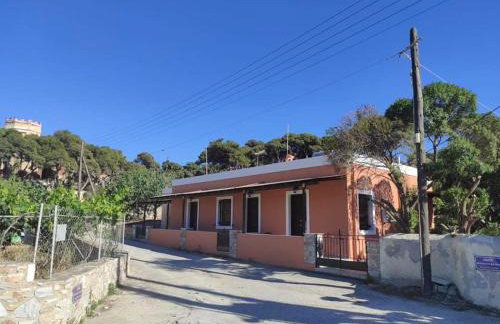 Atropos Varvara - Foto 2