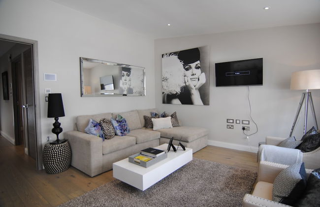 Lux St James Park Apartment Central London FREE WIFI by City Stay Aparts London - Foto 43