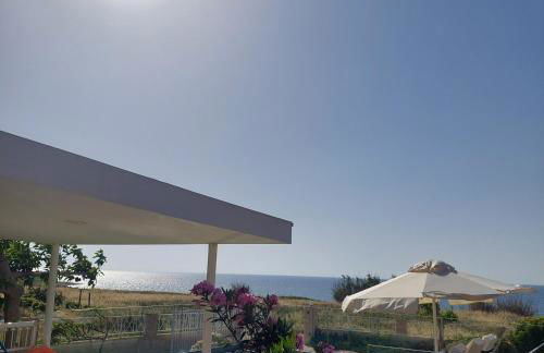 Bella Vista House - Photo 12