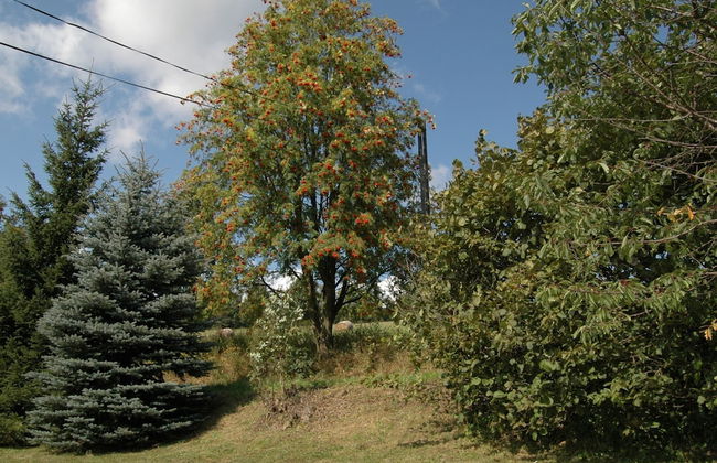 Spacious Cottage in the Giant Mountains, Near the Ski Slopes - Foto 25