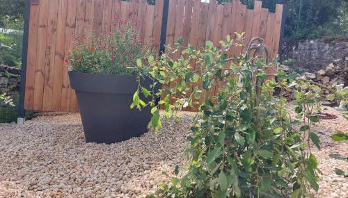 La Petite Bohème, sauna - Foto 3