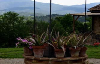 La Fornace di San Galgano - Foto 42