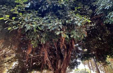 Valencia Apartamento Sol de Naranja - Foto 36