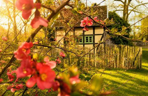Idyllisches Ferienhaus Nähe Dümmer See Auszeit Sauna Natur - Foto 22