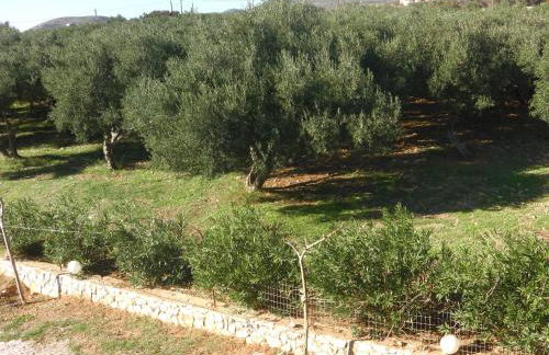 Serenity Hideaway - Photo 27