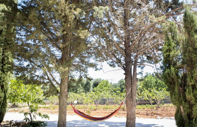 Lamia del Fico con Piscina Pineta e Zona Giochi - Foto 42