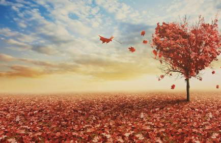 Re Lear Al Lago - Foto 7