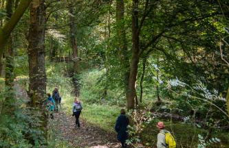 Yellison at Broughton Sanctuary - Photo 8