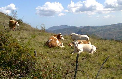 Tuscany Nature Relax - Photo 29