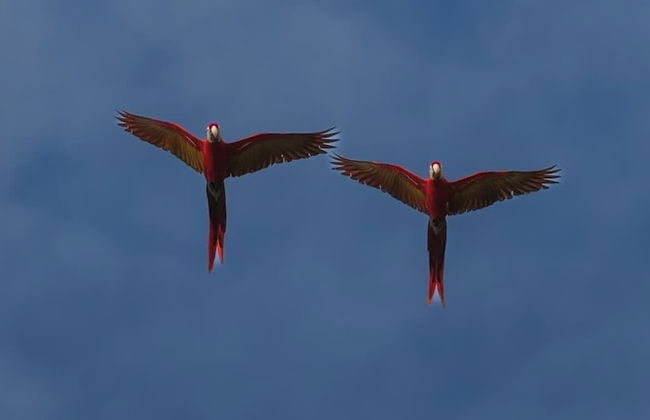 Maze Lodge - Foto 43