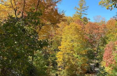 Beech Creek Cabin, lower unit, Black Mountain - Foto 49