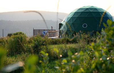 Glamping Getaway at 'The Coyote Dome' in Franklin - Foto 1