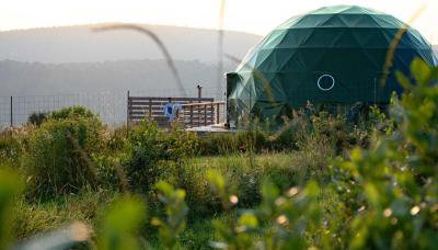Glamping Getaway at 'The Coyote Dome' in Franklin - Photo 1