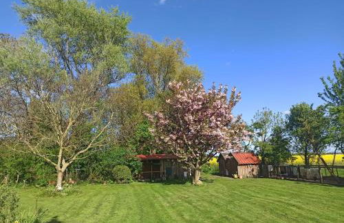 Landblick - idyllische Wohnung an der Nordsee - Foto 33