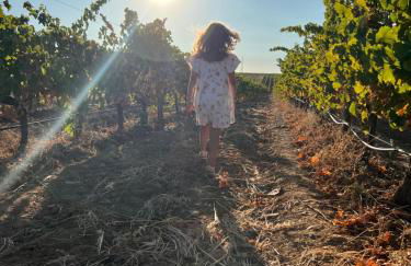 Casa Postigo no Campo - Foto 25