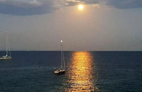 Sunrise Flora - Foto 6